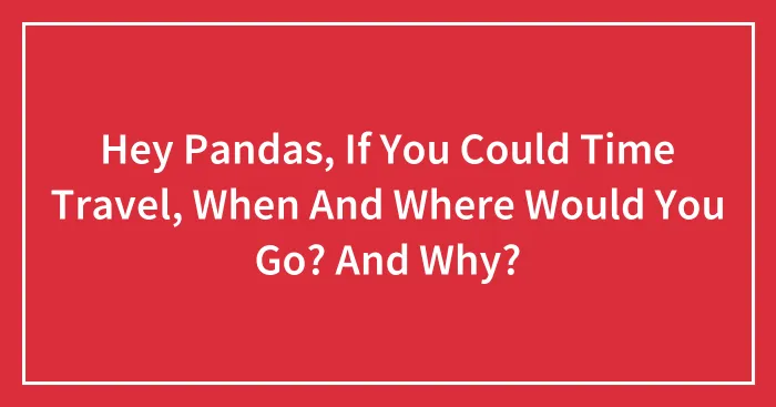 Hey Pandas, If You Could Time Travel, When And Where Would You Go? And Why? (Closed)
