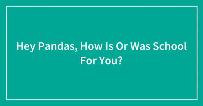 Hey Pandas, How Is Or Was School For You? (Closed)
