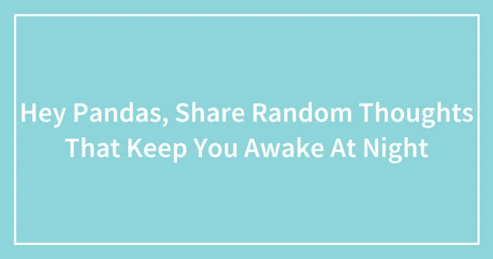 Hey Pandas, Share Random Thoughts That Keep You Awake At Night (Closed)