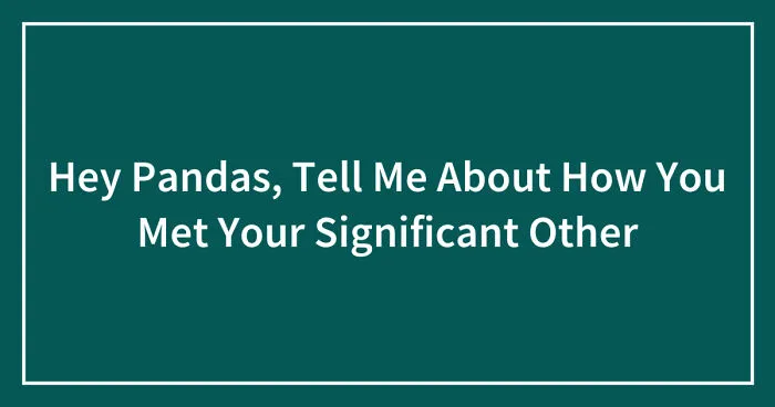 Hey Pandas, Tell Me About How You Met Your Significant Other (Closed)