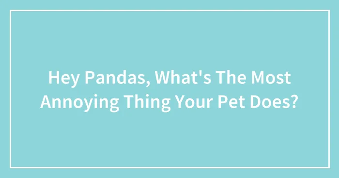 Hey Pandas, What's The Most Annoying Thing Your Pet Does? (Closed)