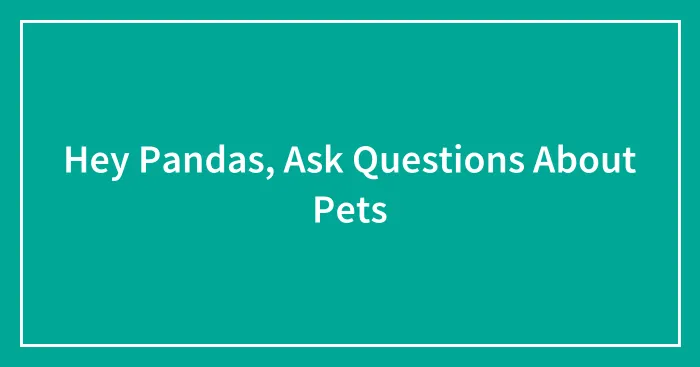 Hey Pandas, Ask Questions About Pets (Closed)
