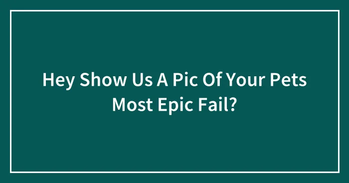Hey Show Us A Pic Of Your Pets Most Epic Fail?