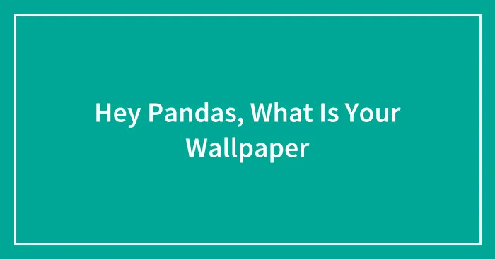 Hey Pandas, What Is Your Wallpaper