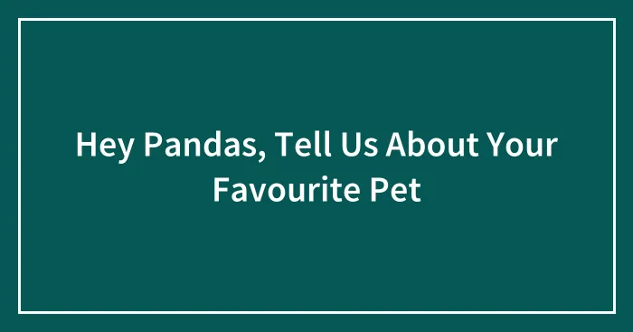 Hey Pandas, Tell Us About Your Favourite Pet (Closed)