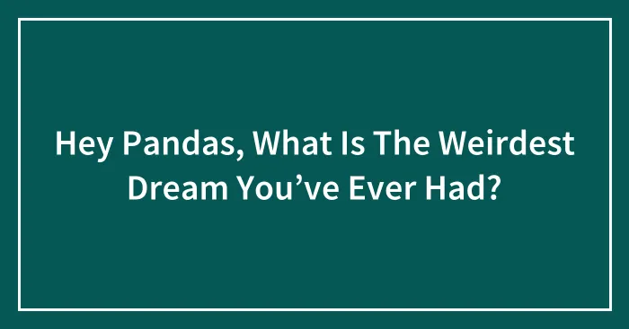 Hey Pandas, What Is The Weirdest Dream You’ve Ever Had?