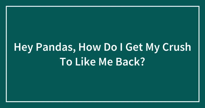 Hey Pandas, How Do I Get My Crush To Like Me Back? (Closed)