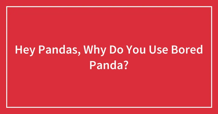 Hey Pandas, Why Do You Use Bored Panda? (Closed)
