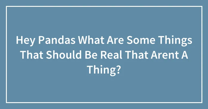 Hey Pandas What Are Some Things That Should Be Real That Arent A Thing?