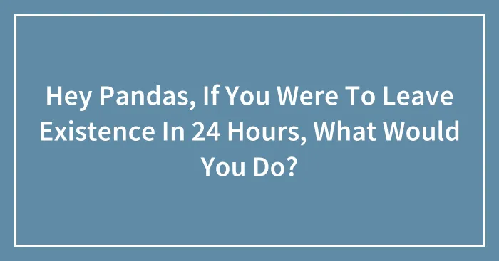 Hey Pandas, If You Were To Leave Existence In 24 Hours, What Would You Do?