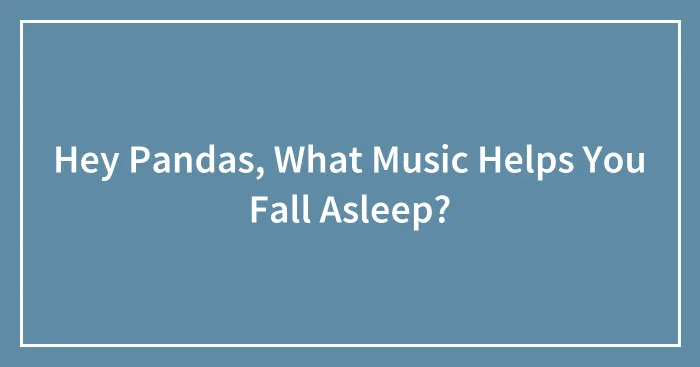 Hey Pandas, What Music Helps You Fall Asleep?