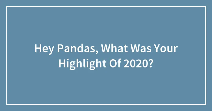 Hey Pandas, What Was Your Highlight Of 2020?