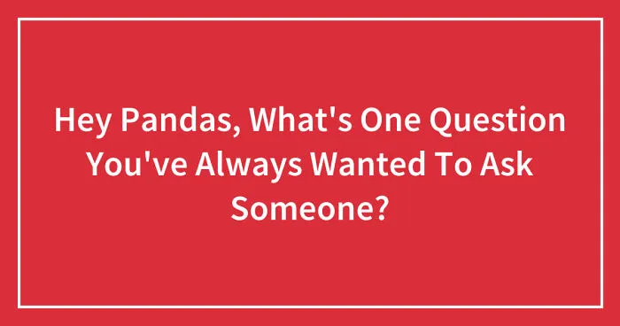 Hey Pandas, What's One Question You've Always Wanted To Ask Someone? (Closed)