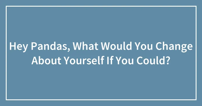 Hey Pandas, What Would You Change About Yourself If You Could? (Closed)
