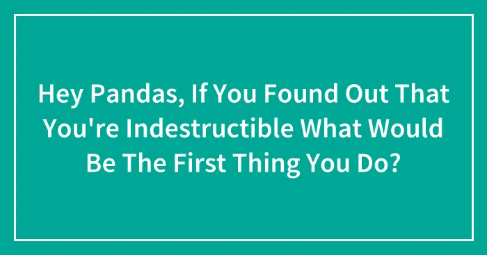Hey Pandas, If You Found Out That You're Indestructible What Would Be The First Thing You Do? (Closed)