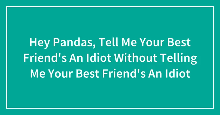 Hey Pandas, Tell Me Your Best Friend's An Idiot Without Telling Me Your Best Friend's An Idiot (Closed)