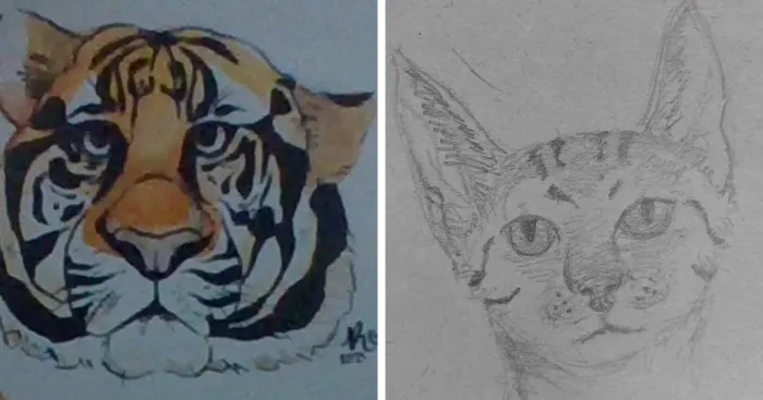 Hey Pandas, Paint Or Draw Your Favorite Animal As Realistically As You Can (Closed)