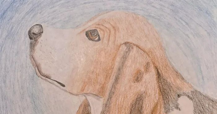 Hey Pandas, Show Your Best Drawing And Tell Your Age (Closed)