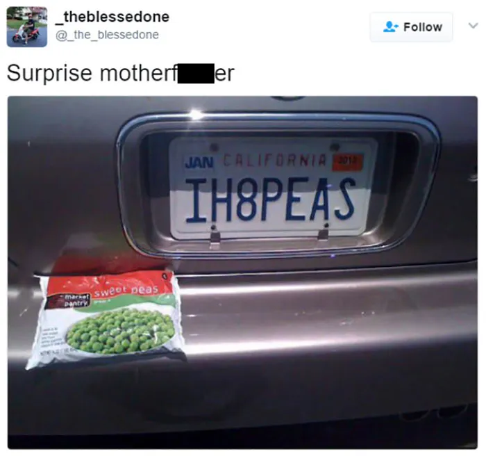 Surprise MF