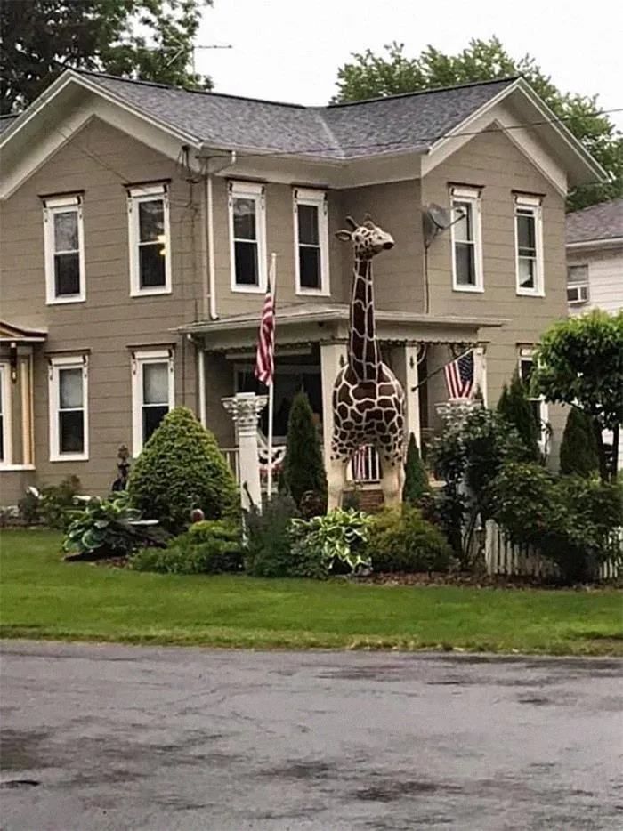 Waterloo, NY