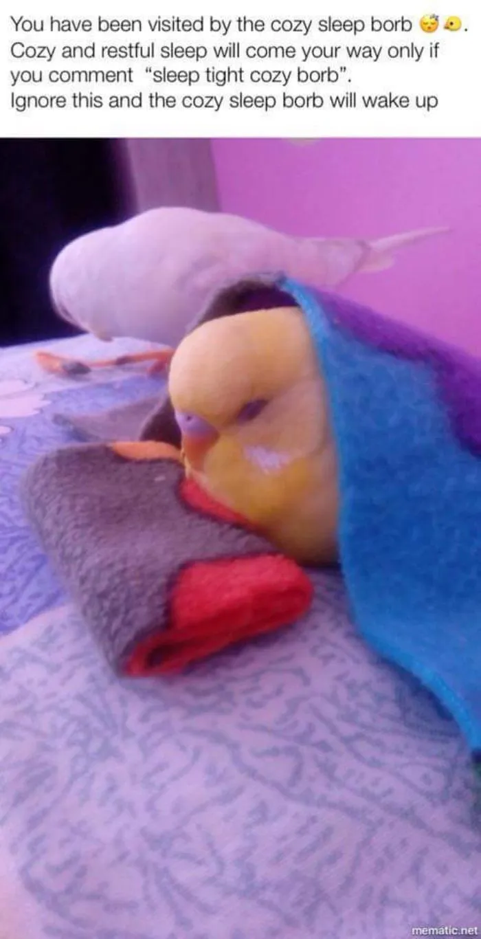 Funny-Bird-Jokes