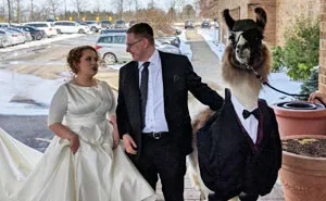 35 Momentos divertidos en bodas que las hicieron totalmente inolvidables