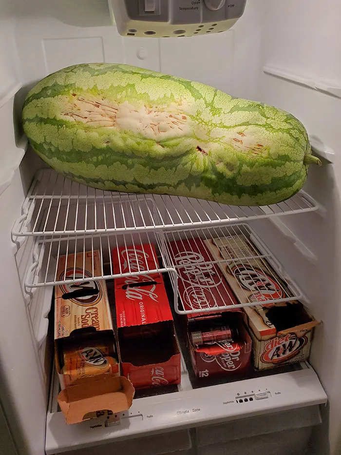 This Obnoxiously Large Watermelon From My Grandpa's Garden