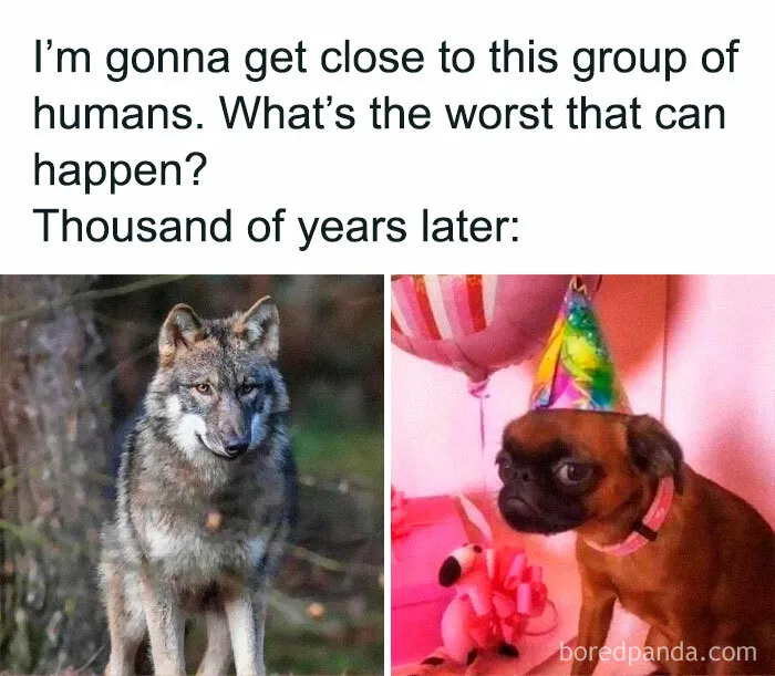 Selective Breeding