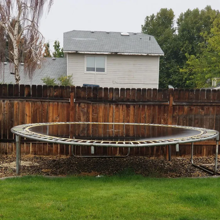 The Water Reflecting Off Our Old Trampoline Makes It Look Invisible