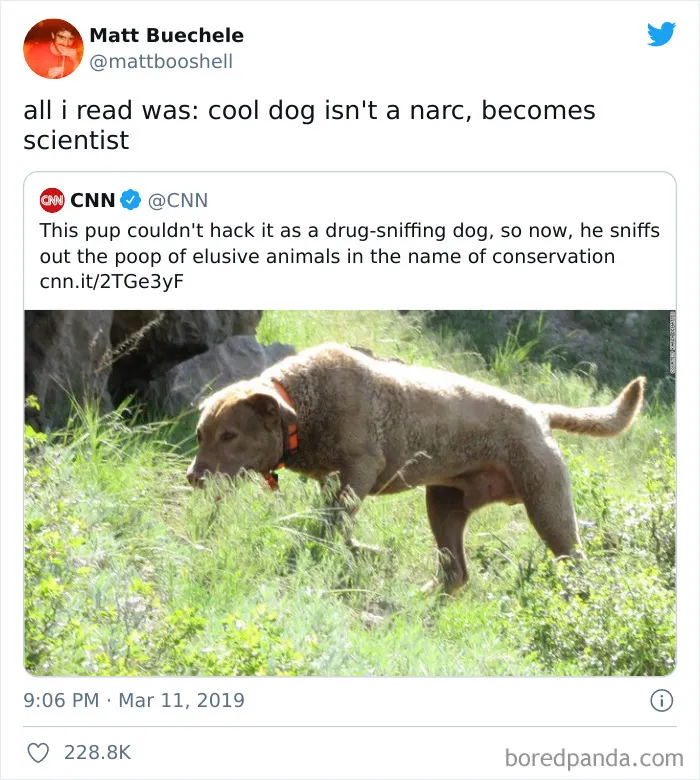 Such A Good Boy