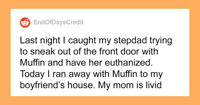 Teen Asks If She Was Wrong To Run Away With Her Cat After Her Stepdad Attempts To Secretly Euthanize It