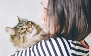 Teen Asks If She Was Wrong To Run Away With Her Cat After Her Stepdad Attempts To Secretly Euthanize It