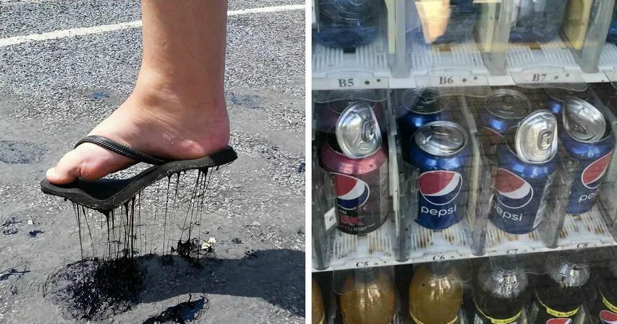 50 Fotos que muestran las consecuencias de las olas de calor veraniegas