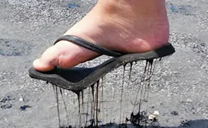50 Fotos que muestran las consecuencias de las olas de calor veraniegas
