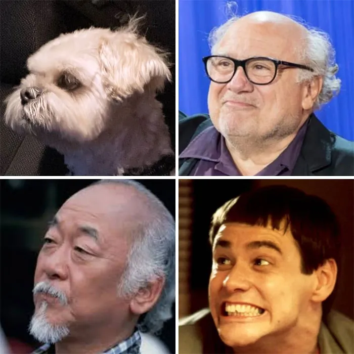 Forget #Tobytwinsies, What About Quadruplets?