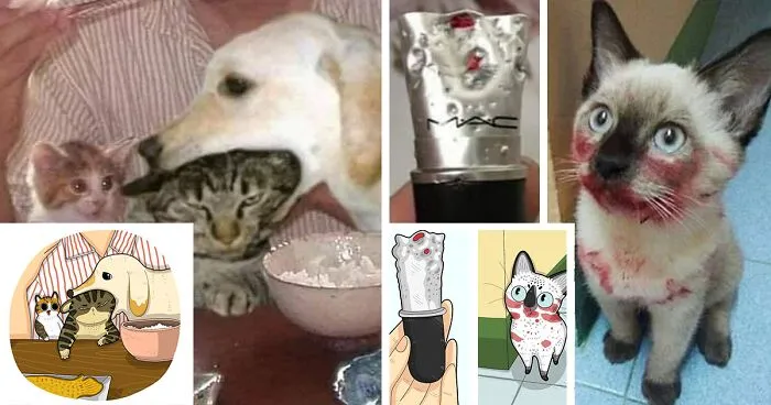 40 Of The Funniest Internet-Famous Cat Pics Get Illustrated By Tactooncat (New Pics)