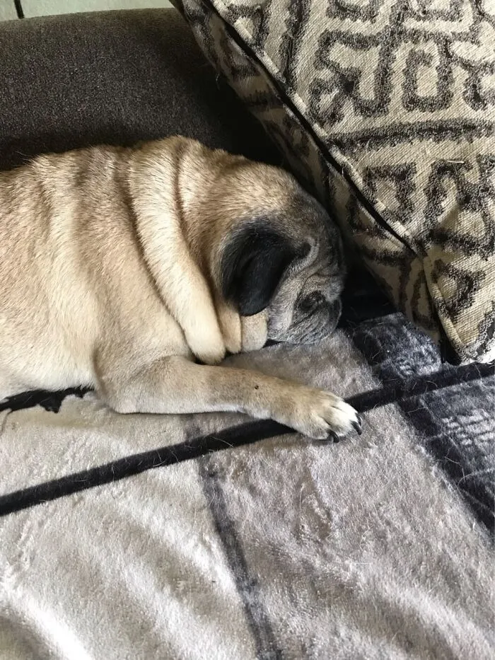 Lucy