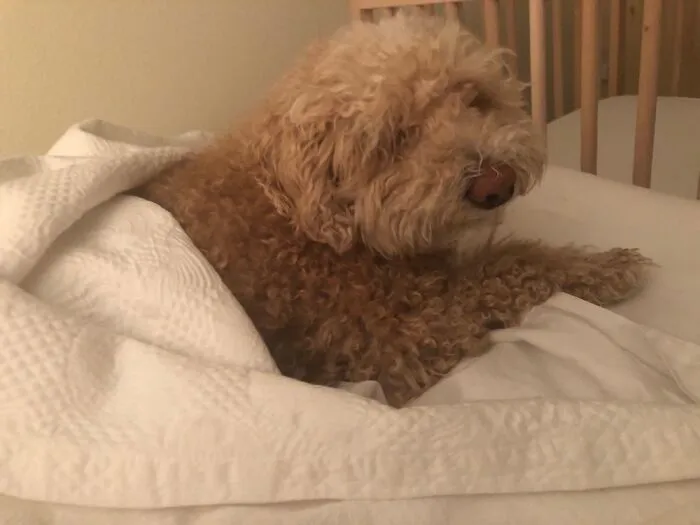 Living His Best Life.