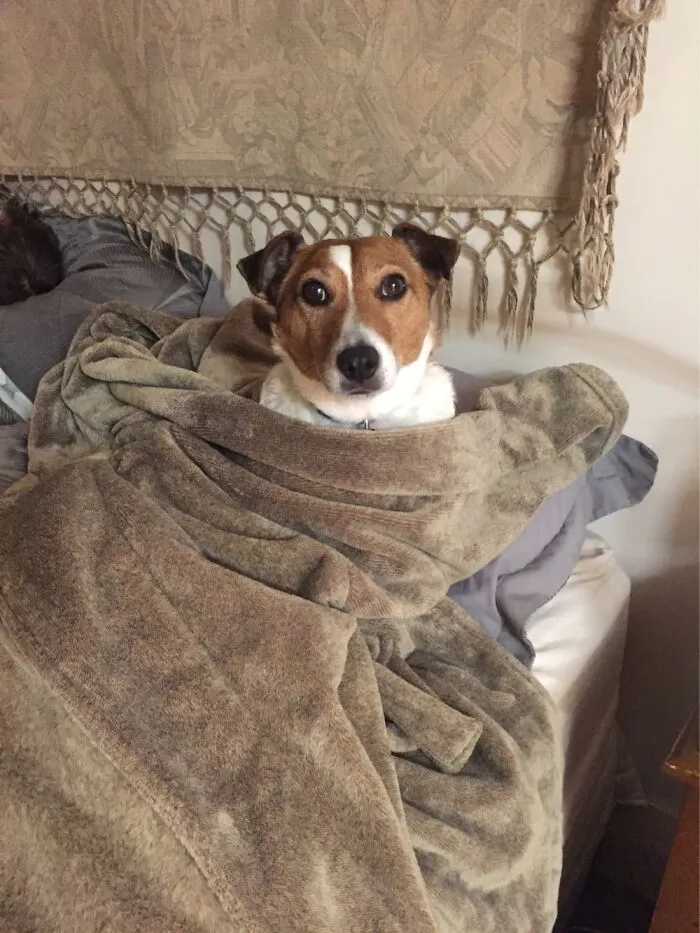 Sprocket Rugged Up For Winter Down Under