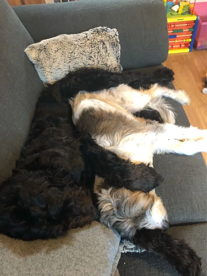 Awwww