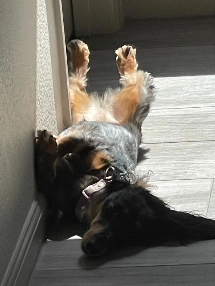 Sunbathing