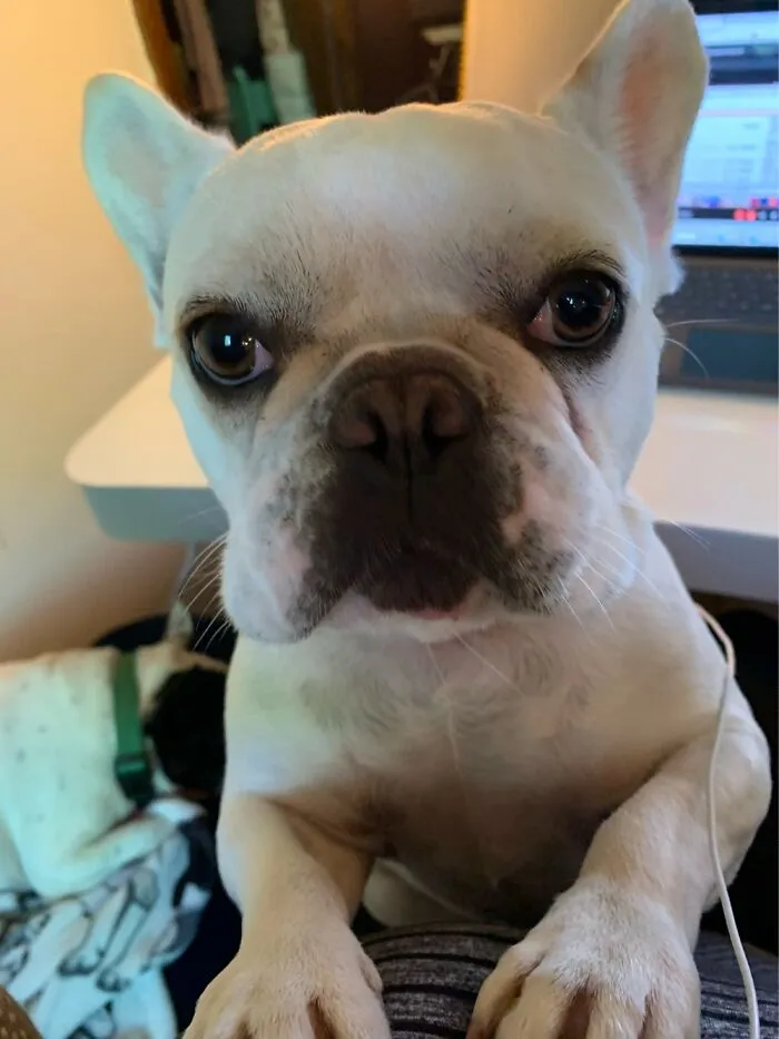 Are You Done Yet?