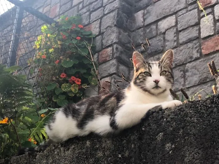 Willow Knows How To Strike A Pose!