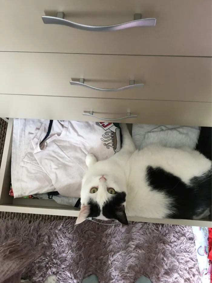 If It’s Open, She’s There