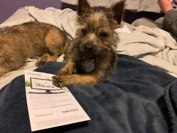 If You’ll Just Sign Right Here Madam We Can Have That Handy Dandy Vacuum Delivered Today!