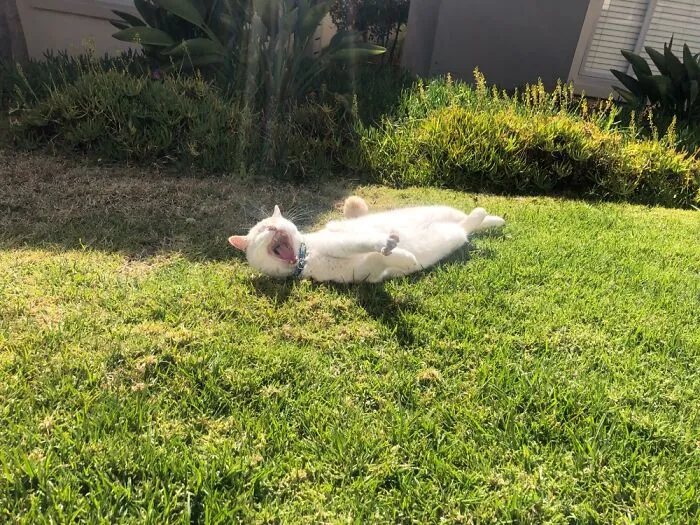 Ahhhhh Sun