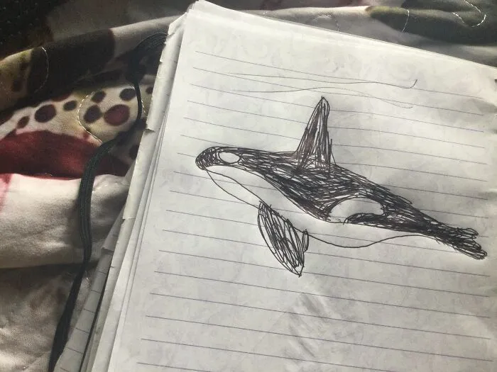 Oliver Orca