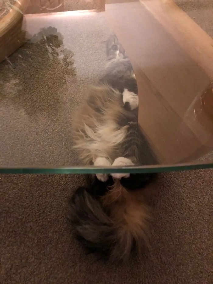Hiding…