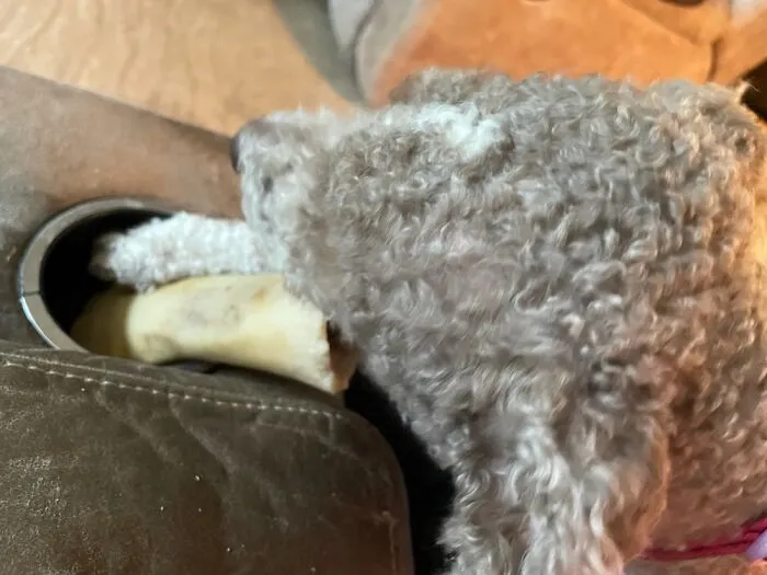 Winnie Uses The Cup