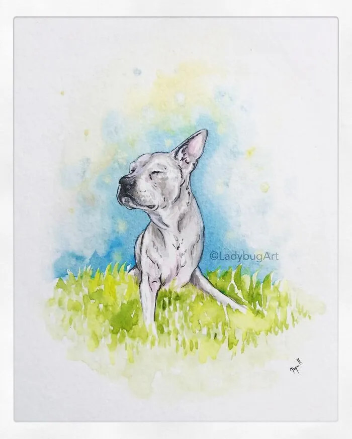 I Have An Emotional Job Of Creating Custom Art Of Pets After They’ve Passed Away (19 Pics)